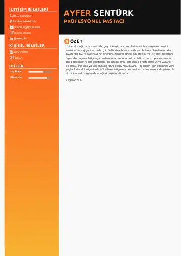 Pastacı Cv Örnekleri cv indir